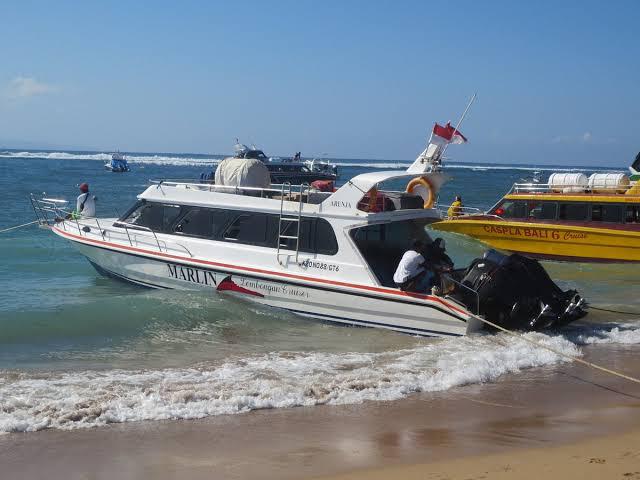 WhatsApp Image 2026-02-12 at 5.33